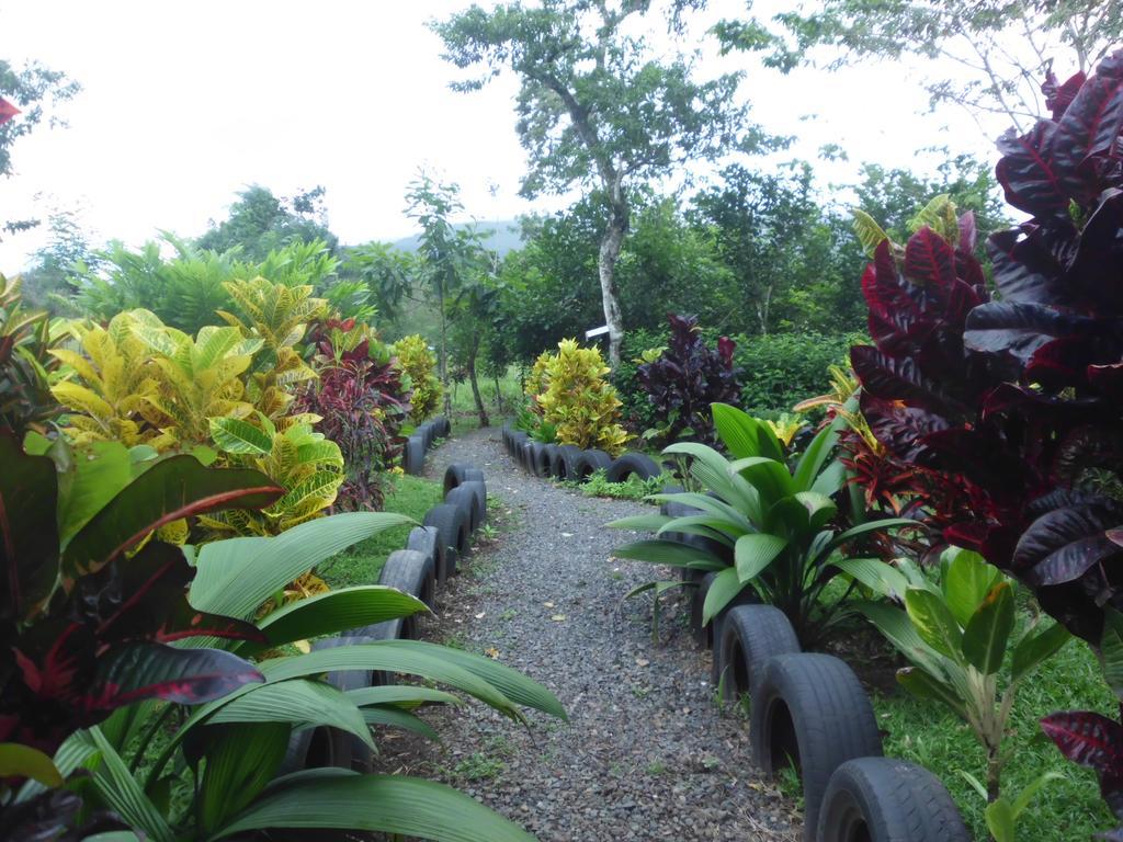 Nacientes Lodge Bijagua Exterior photo